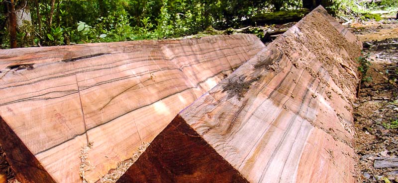 madera cepillada en el exterior